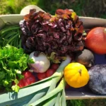 img 20211014 104913