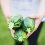 zucchinis 1869941 1280